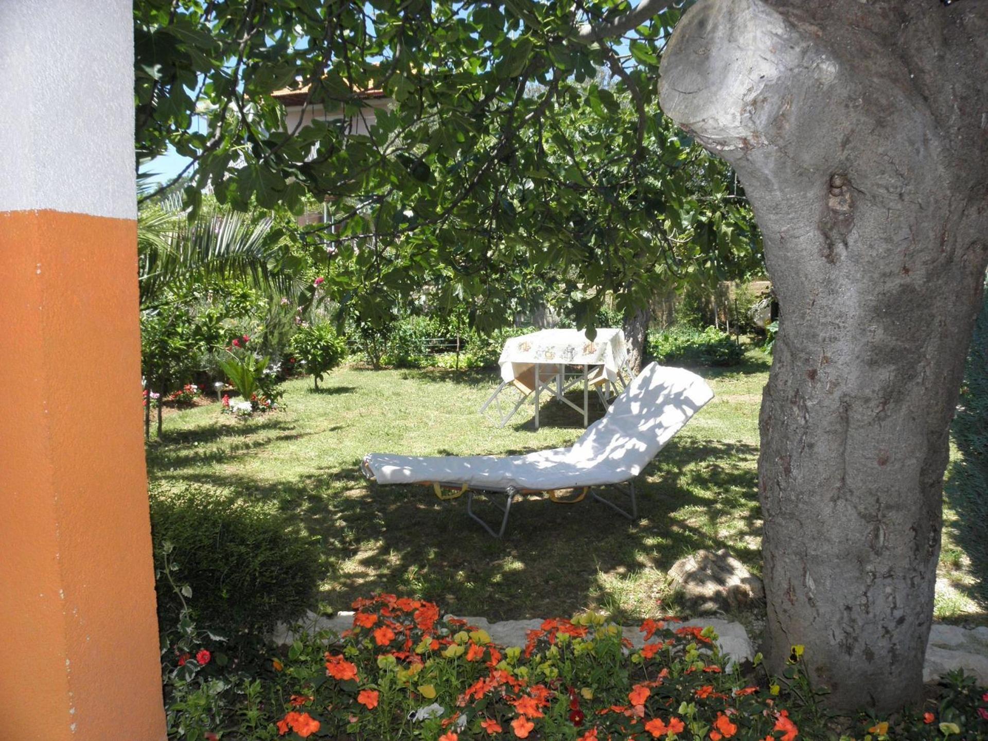 Apartments Zvone - 100 M From Sea Bibinje Extérieur photo