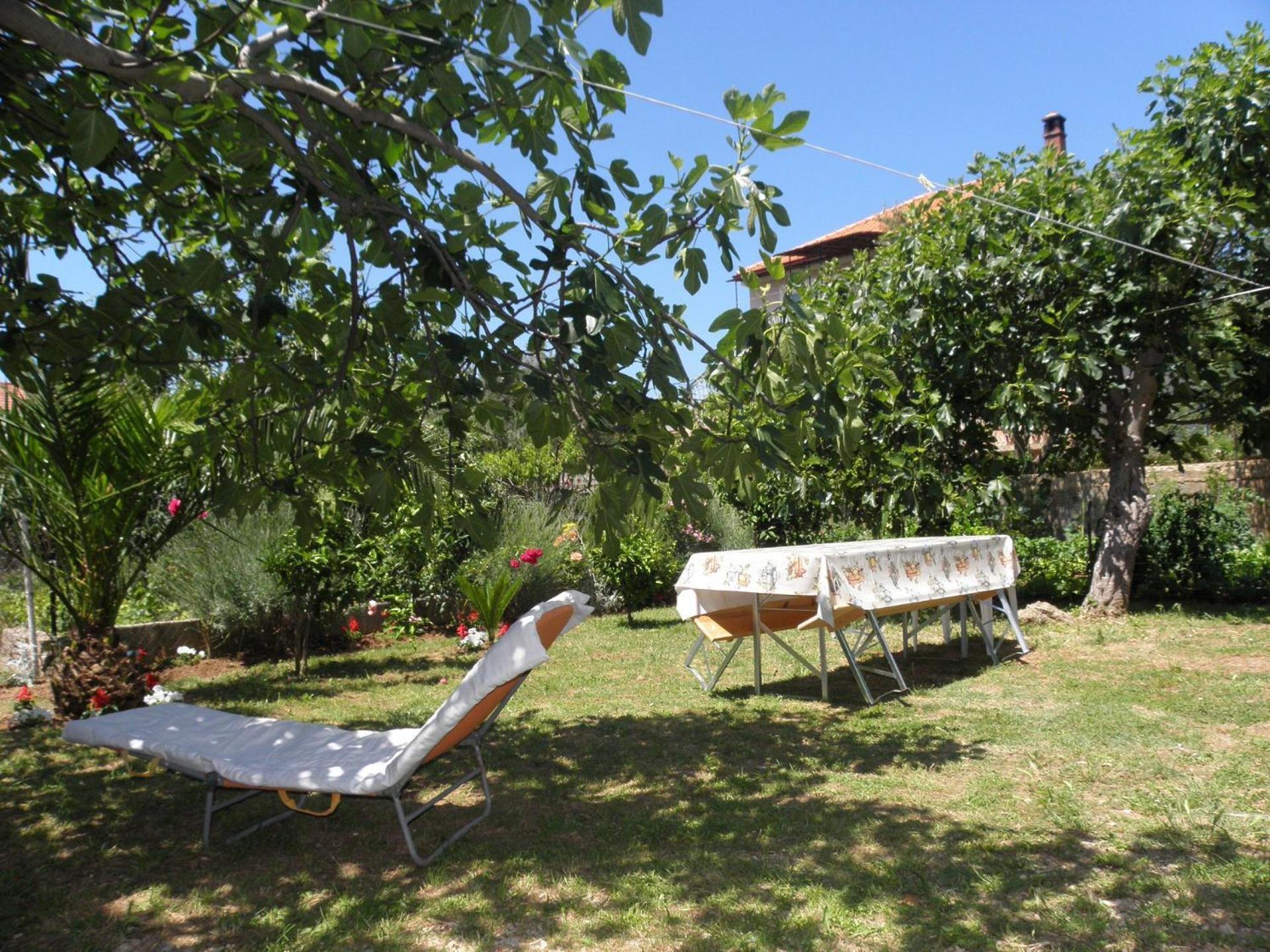 Apartments Zvone - 100 M From Sea Bibinje Extérieur photo
